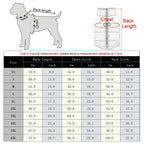 Winter jacket for dogs with protection & comfort