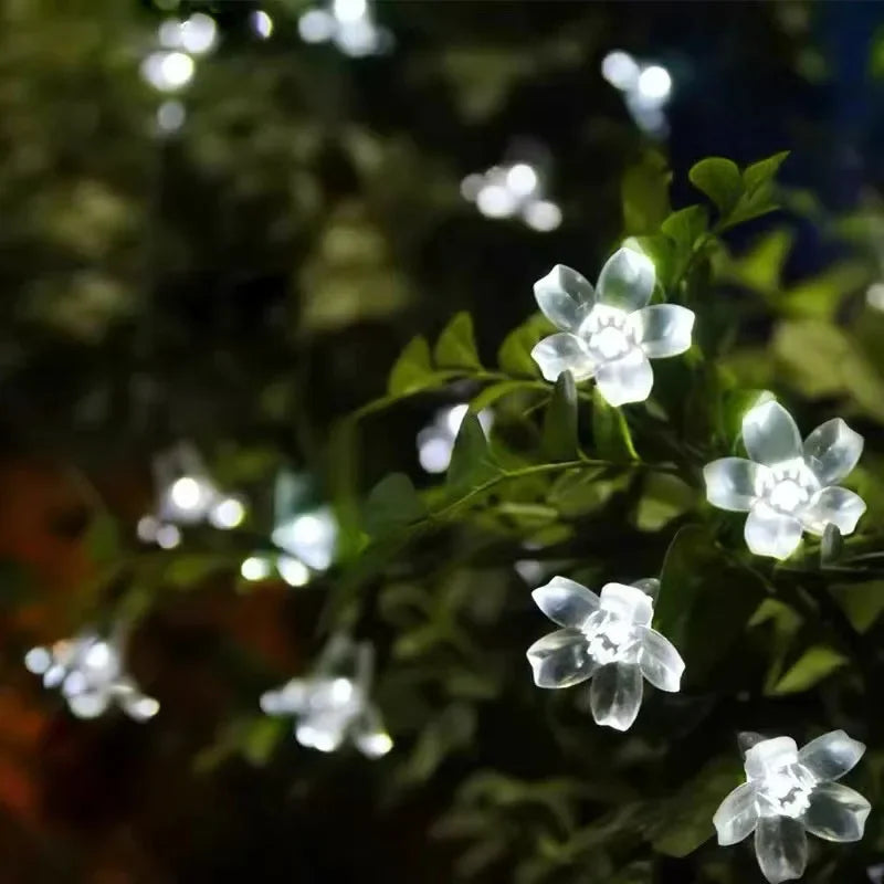 Floral glow for every day in the garden