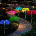 Hypnotizing Glow of Jellyfish in Your Garden