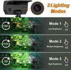 Solar-LED-Spotlight for outdoor use – Weatherproof garden lighting with 3 brightness levels