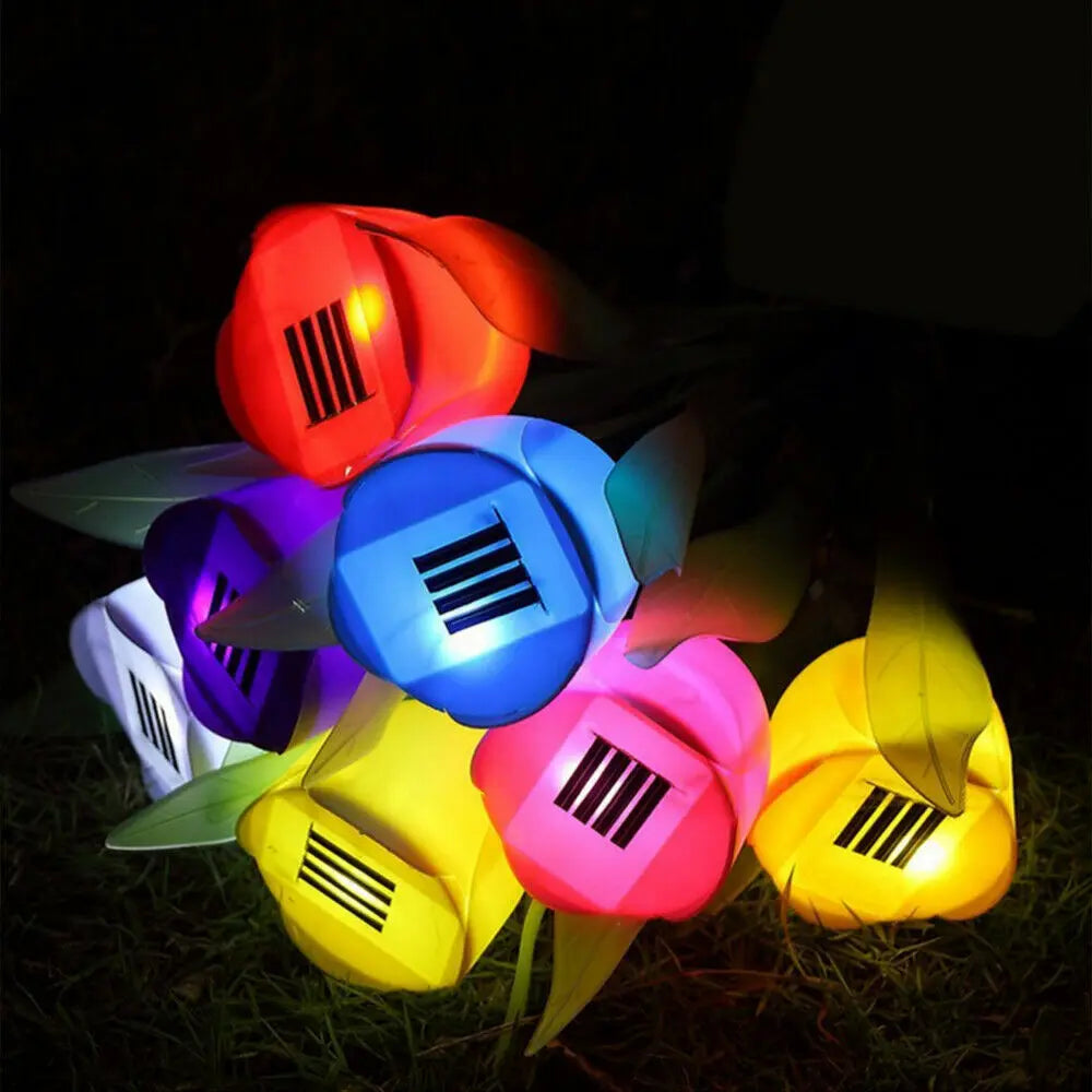 Tulip light that naturally brightens evenings!