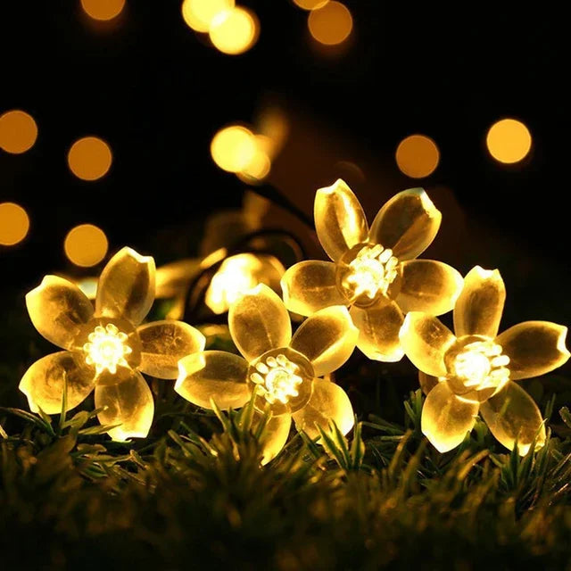 Peach Blossom Fairy Lights