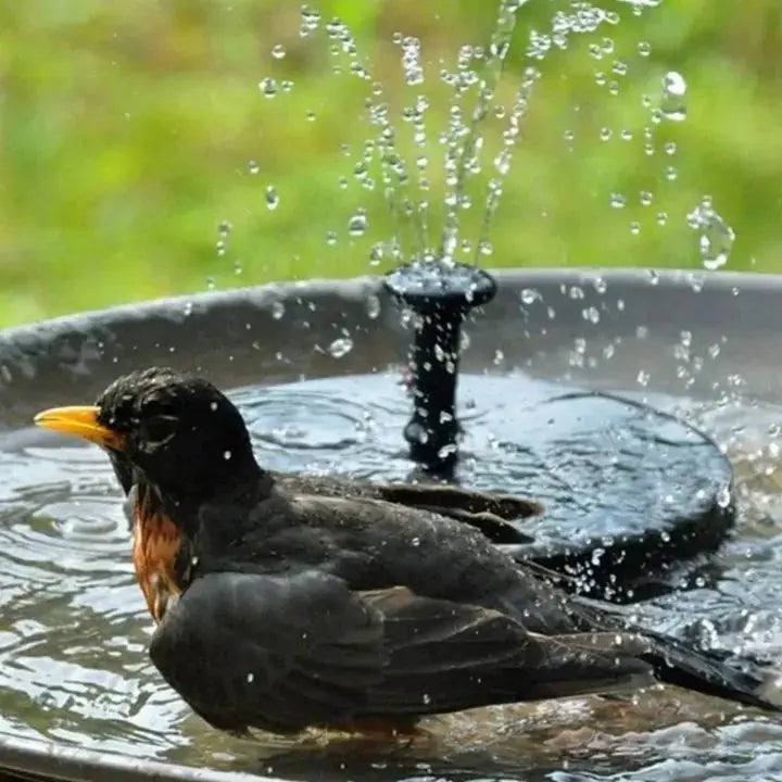 Solar garden fountain with soothing splashing – For birds & soul