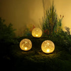 SolarGlobe Garden Light