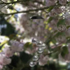 Solar-powered LED Wind Chime