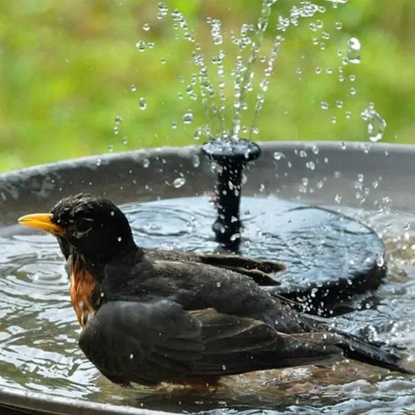 High Quality Solar Fountain for Your Garden – Relax in Peace