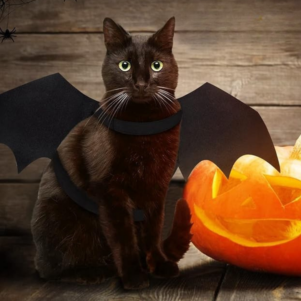 Spooky Halloween Pets Bat Wings