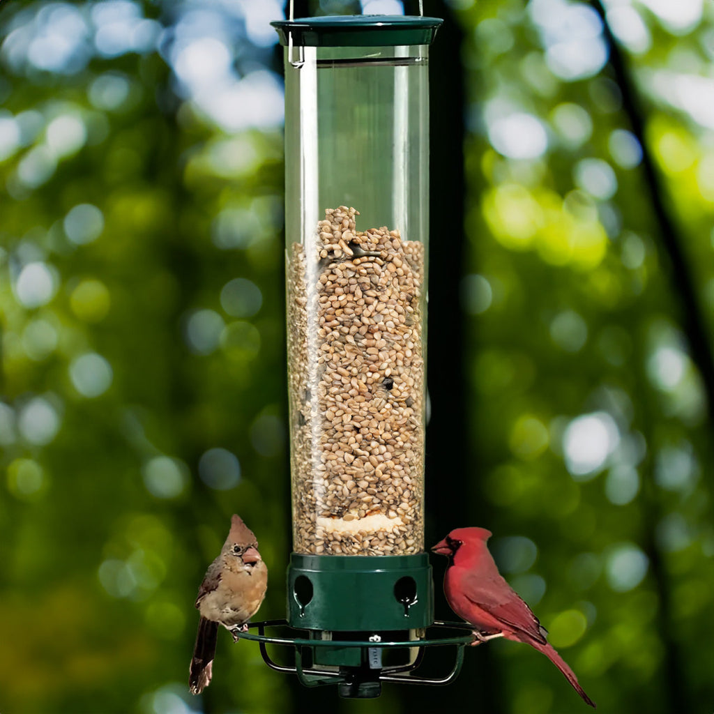 Aviron Bird Feeder with Anti-Squirrel Protection | Spin Mechanism | 4 Feeding Openings | 2.27 kg Capacity