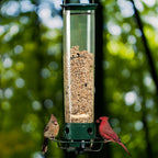 Aviron Bird Feeder with Anti-Squirrel Protection | Spin Mechanism | 4 Feeding Openings | 2.27 kg Capacity