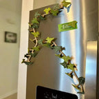 Stylish Leaf Magnets for Your Home