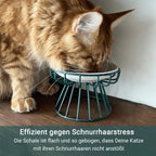 Stress-free and healthy ergonomic cat bowl – Set of stand and bowl