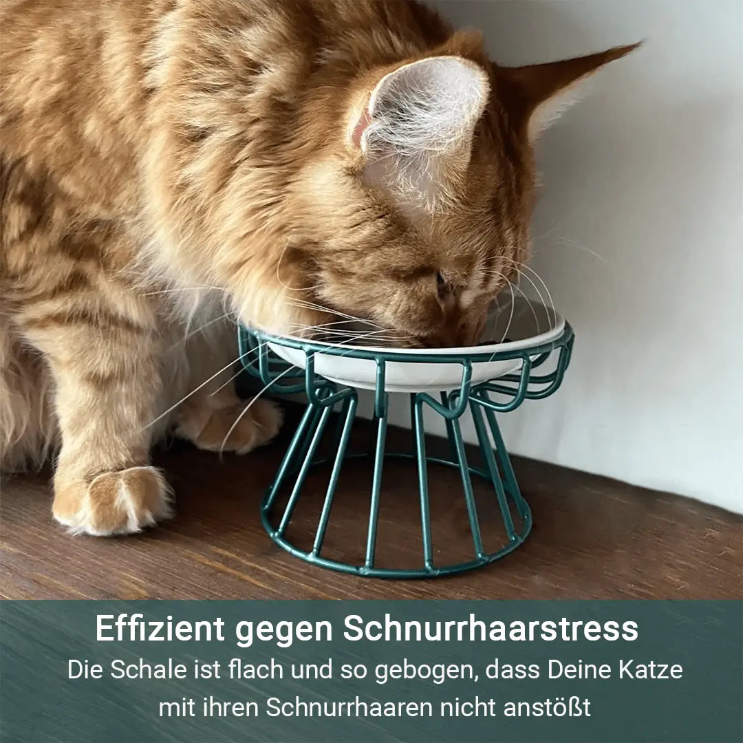 Stress-free and healthy ergonomic cat bowl – Set of stand and bowl
