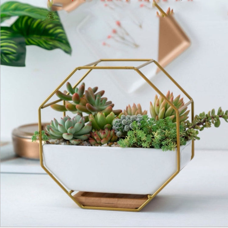 Simple octagonal geometric wall-mounted table succulent plate bamboo support iron frame flower pot (Gold)