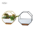 Simple octagonal geometric wall-mounted table succulent plate bamboo support iron frame flower pot (Gold)