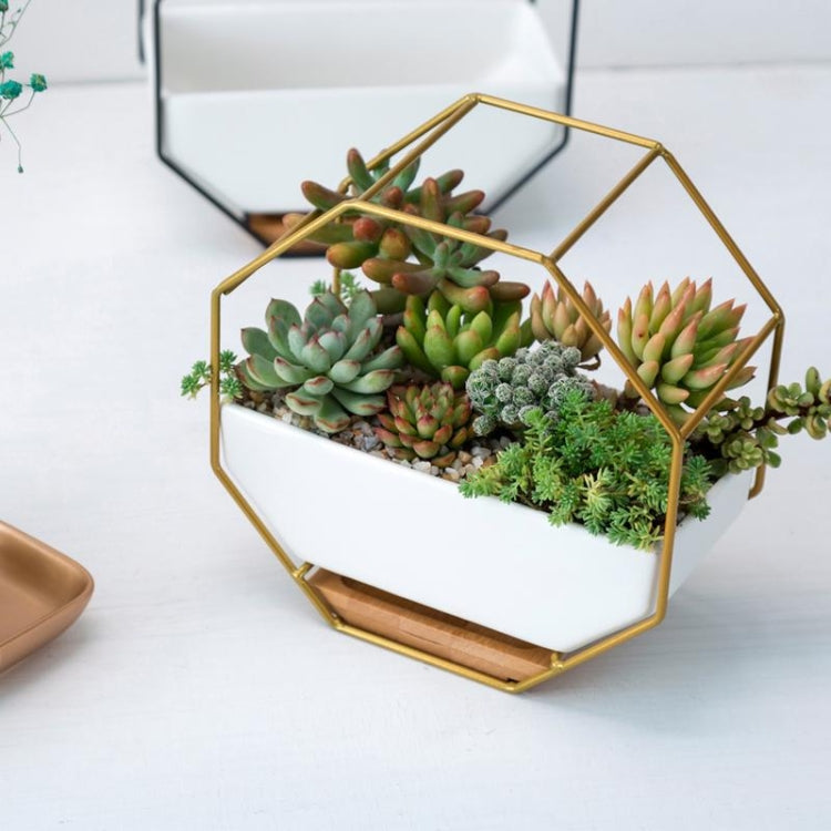 Simple octagonal geometric wall-mounted table succulent plate bamboo support iron frame flower pot (Gold)