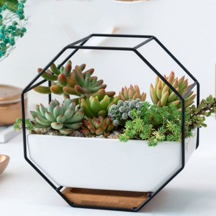 Simple octagonal geometric wall hanging table succulent plate bamboo support iron frame flower pot (black)