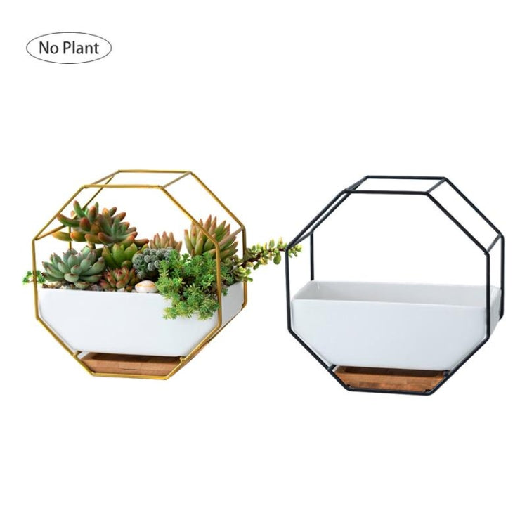 Simple octagonal geometric wall hanging table succulent plate bamboo support iron frame flower pot (black)