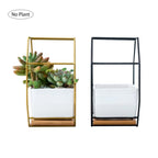 Simple octagonal geometric wall hanging table succulent plate bamboo support iron frame flower pot (black)