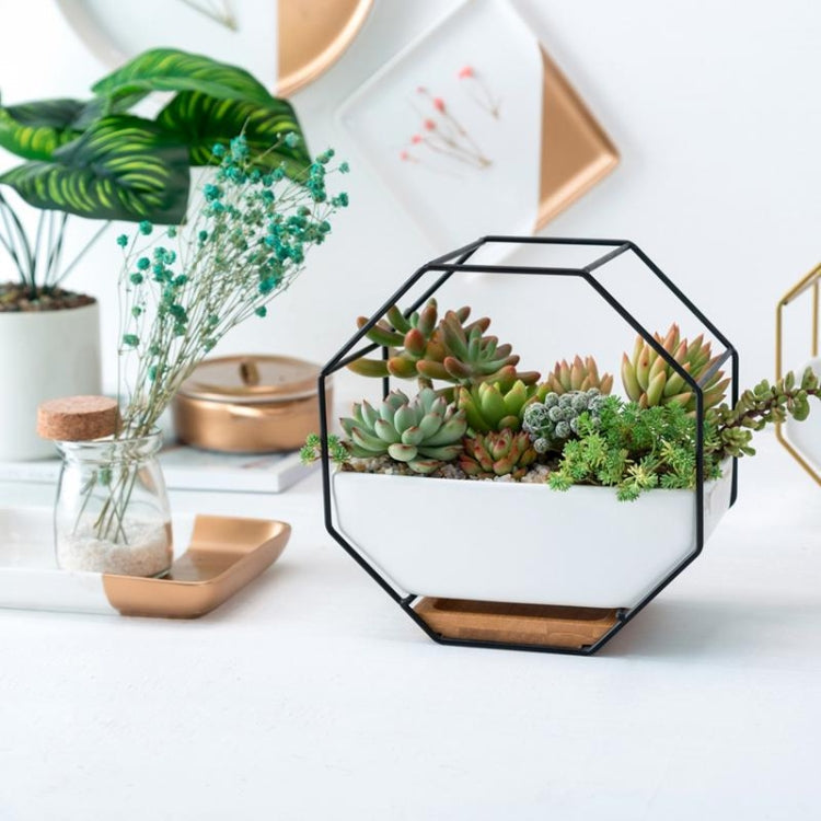 Simple octagonal geometric wall hanging table succulent plate bamboo support iron frame flower pot (black)