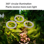LED Plant Growth Lamp Full Spectrum Intelligent Timer Indoor Fill Light Ring Plant Lamp, Power: One Head (Sunshine)