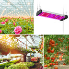 LED growth lamp full spectrum plant light tube, Style: Small double row 100 cm (EU plug)