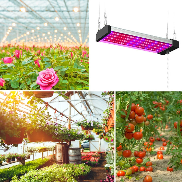 LED growth lamp full spectrum plant light tube, Style: Small double row 100 cm (EU plug)