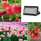 LED Plant Light Full Spectrum Waterproof Grow Light EU Plug 144 Beads 200W