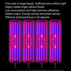 4 heads 12V Full Spectrum Red and Blue Light Panel Plant Growth Lamp Seedling Fill Lights (EU plug)