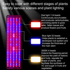 4 heads 12V Full Spectrum Red and Blue Light Panel Plant Growth Lamp Seedling Fill Lights (EU plug)