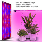4 heads 12V Full Spectrum Red and Blue Light Panel Plant Growth Lamp Seedling Fill Lights (EU plug)