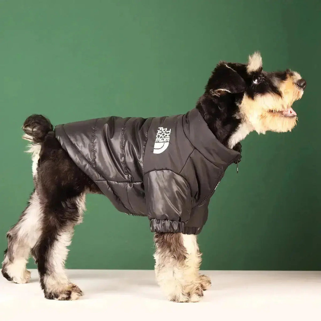 Die Dog Face Jacket - Type A