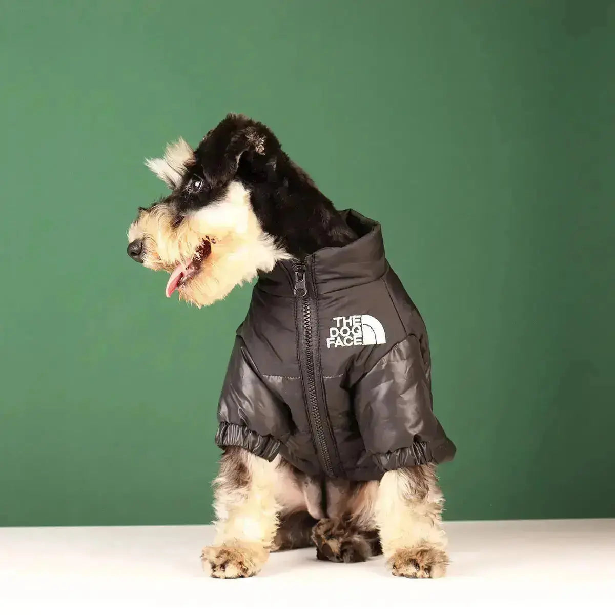 Die Dog Face Jacket - Type A