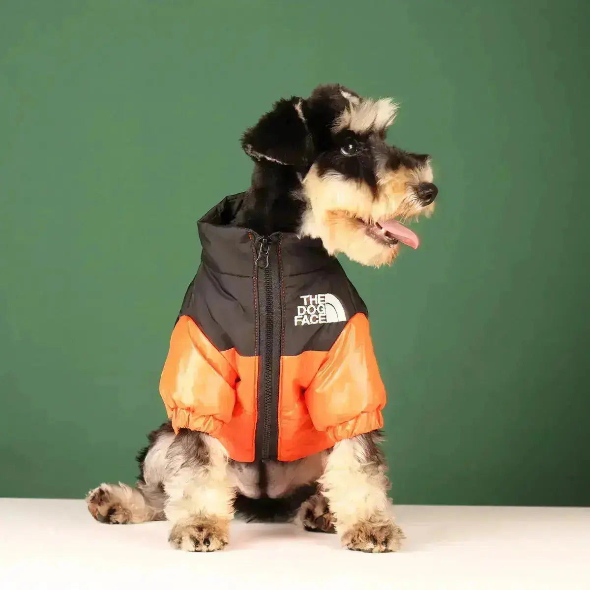 Die Dog Face Jacket - Type A
