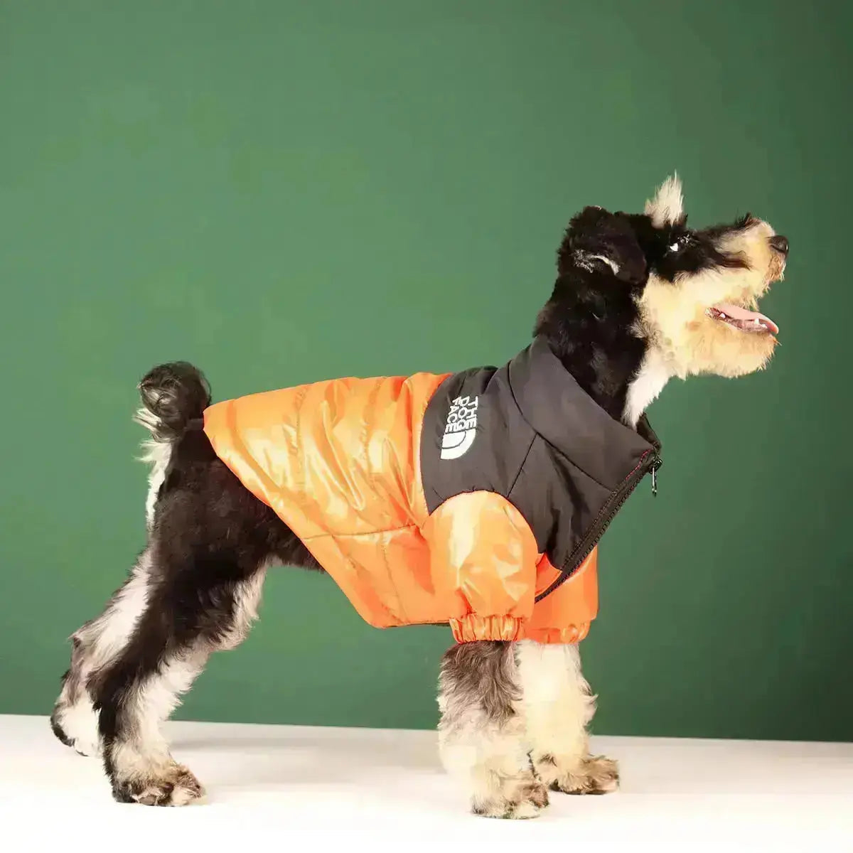 Die Dog Face Jacket - Type A