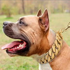 KrachtNeck Metal Dog Collar – Sturdy Stainless Steel Collar for Large Dogs