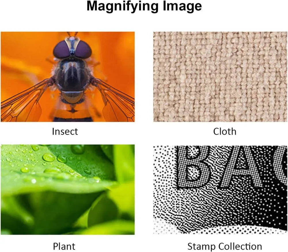 Portable digital camera microscope with 1600x zoom