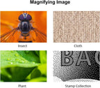 Portable digital camera microscope with 1600x zoom