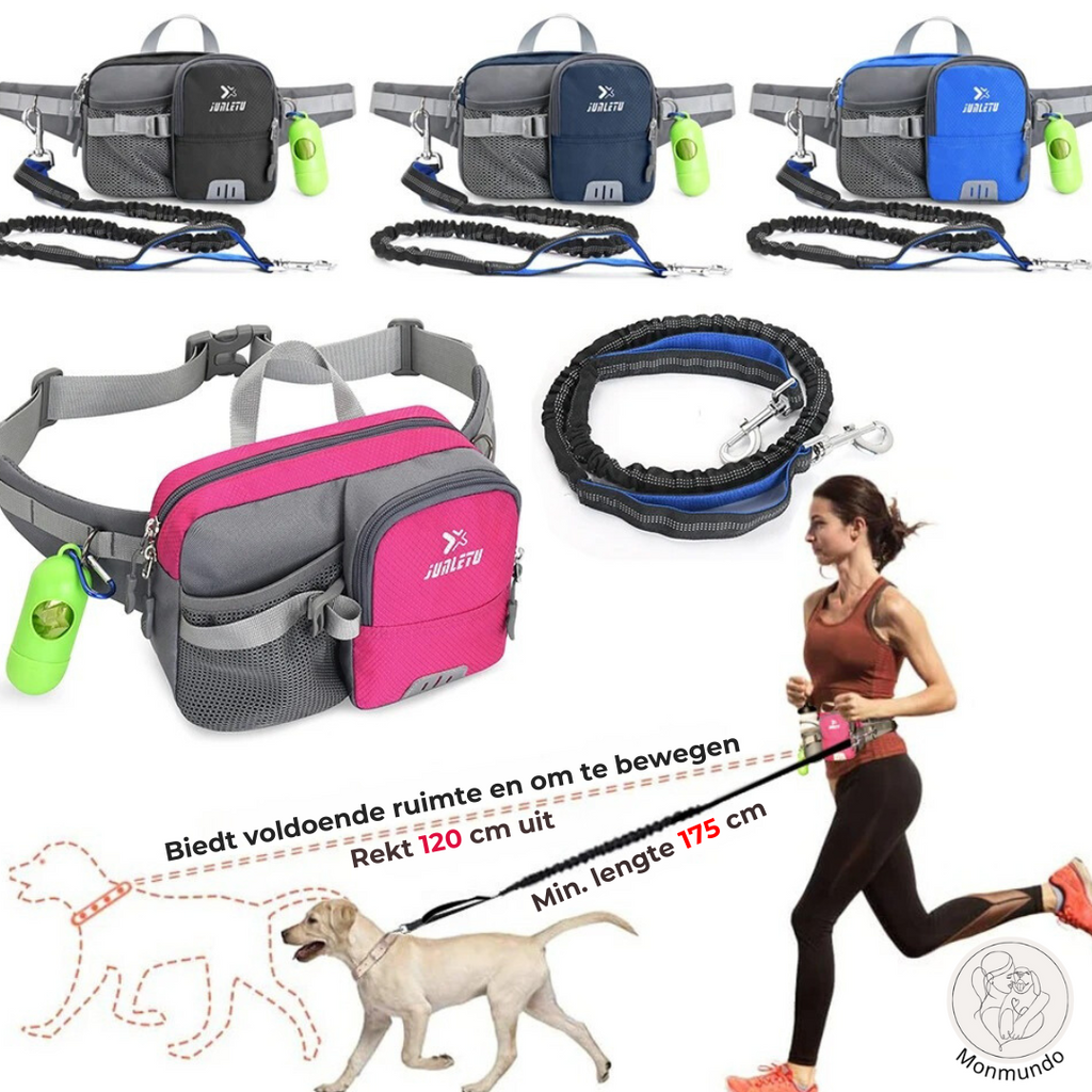 Dog Leash Hip Bag Set