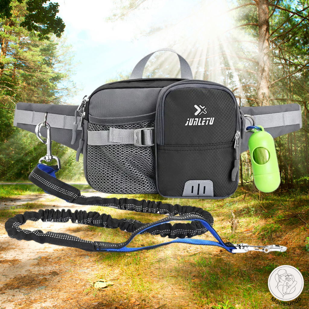 PupLeash Walks Made Easier