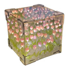 Tulip Night Light