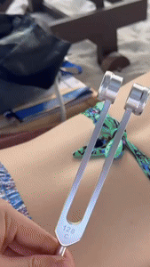 Tuning Fork Set