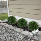 UV-resistant Topiary Artificial Tree – For Garden, Terrace & Entrance