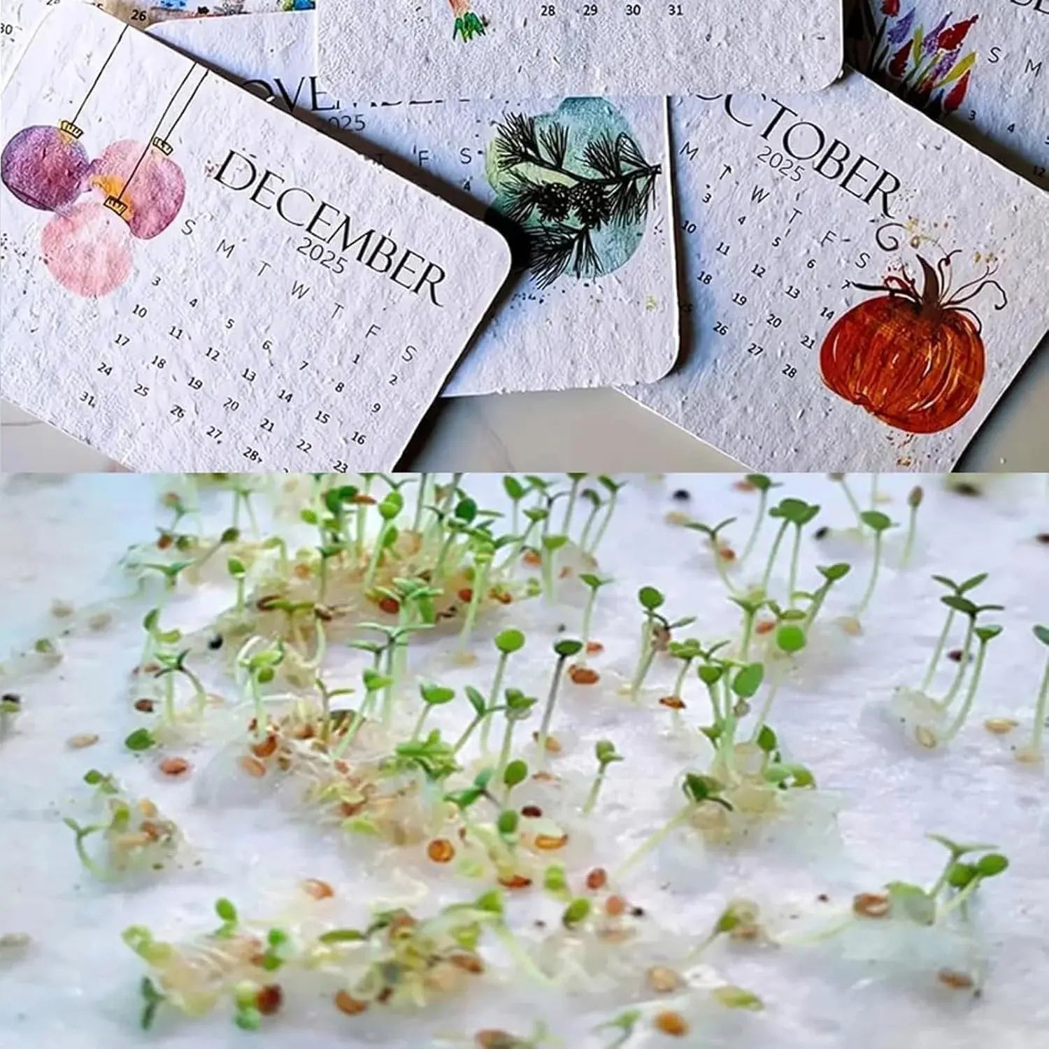 Eco-friendly Plantable Seed Calendar 2025 – Grow Year-Round