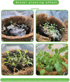 Eco-friendly Plantable Seed Calendar 2025 – Grow Year-Round