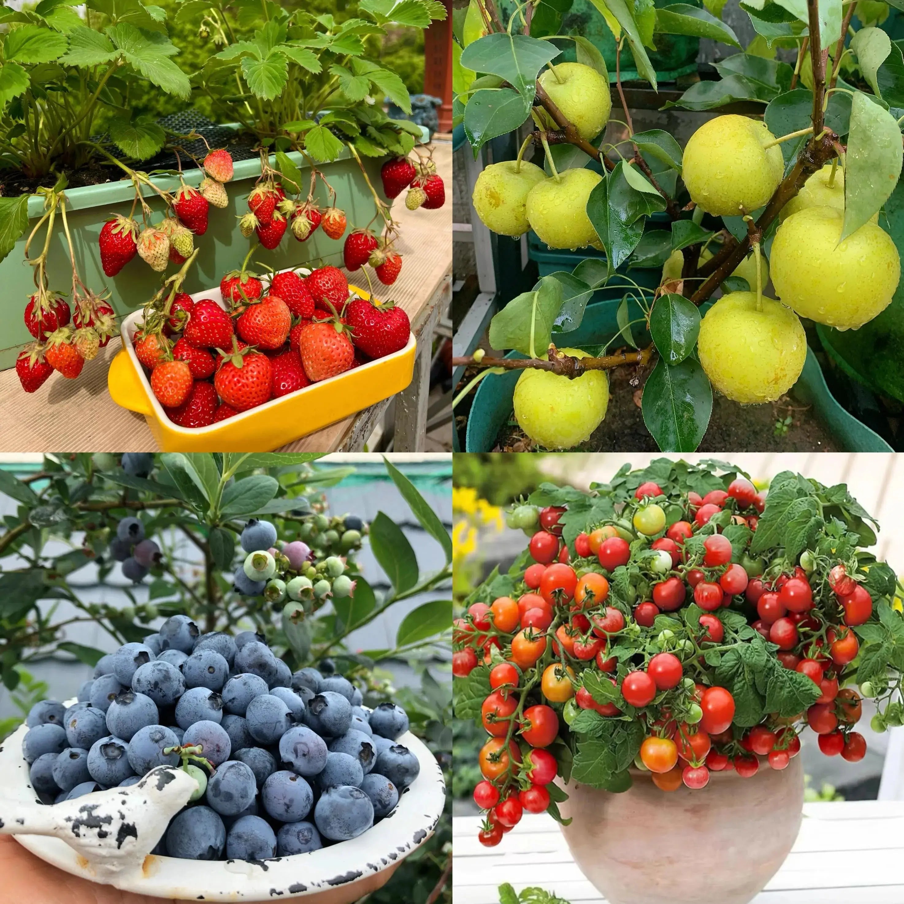 Eco-friendly Plantable Seed Calendar 2025 – Grow Year-Round