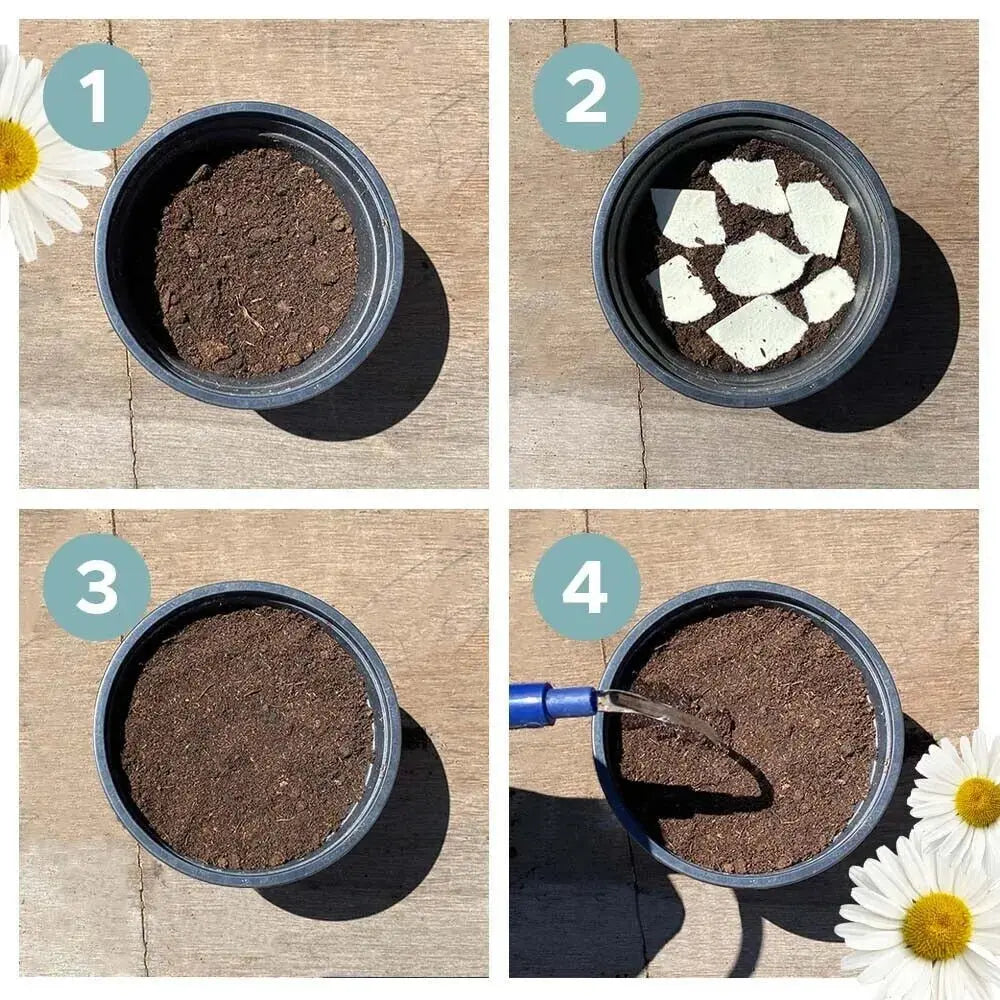 Eco-friendly Plantable Seed Calendar 2025 – Grow Year-Round