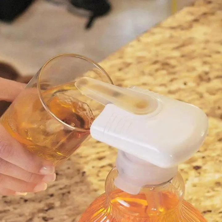 Universal electric beverage pump