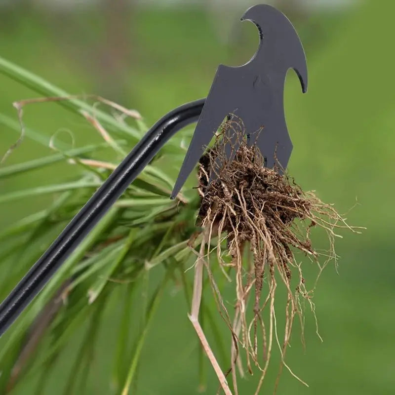 Weed removal tool with 4 prongs – Garden hoe tool