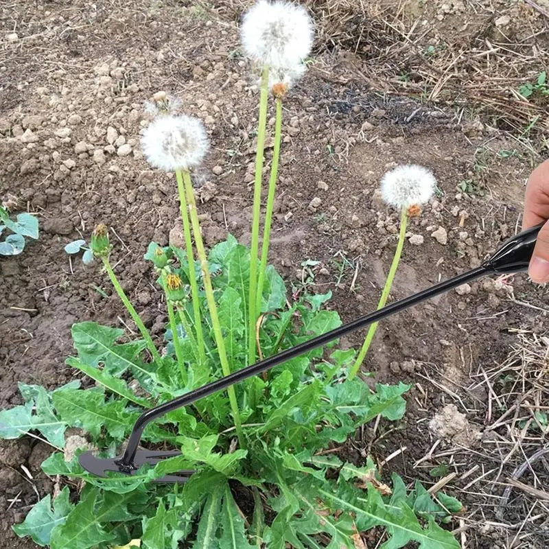 Weed removal tool with 4 prongs – Garden hoe tool
