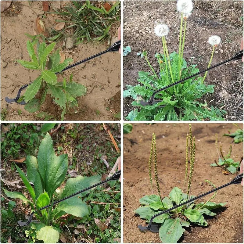 Weed removal tool with 4 prongs – Garden hoe tool